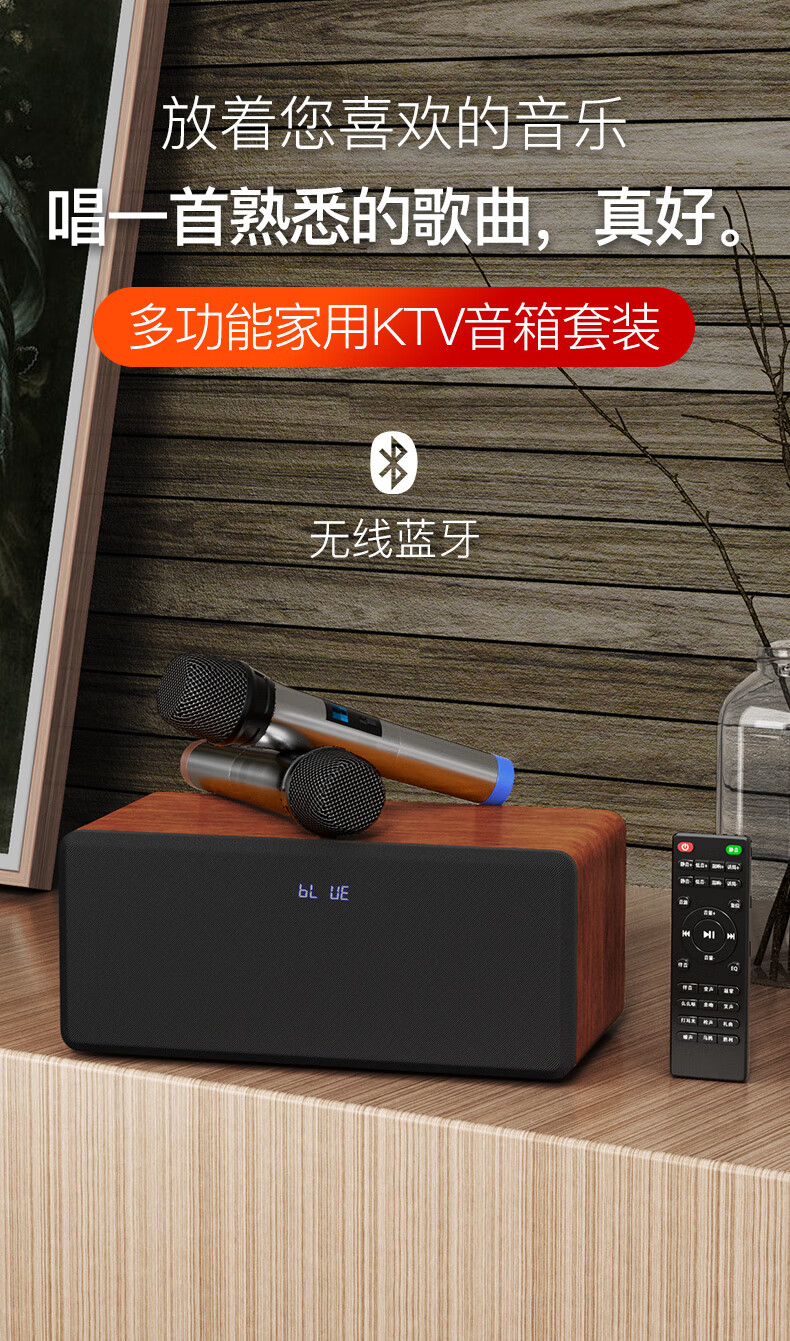 雷登(ohayo) 家庭ktv音响套装卡拉ok机手机电视练歌客厅小型点歌机s10