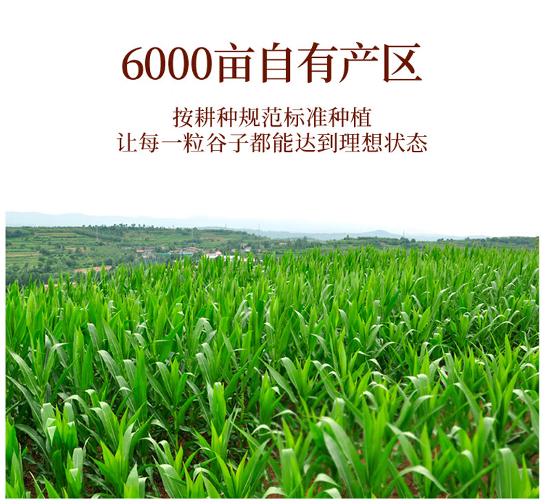小米锅巴210克_04.jpg