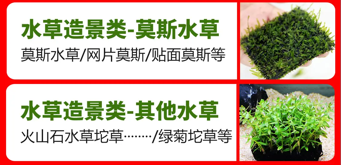韵萌宠物用品专营店 韵萌宠物用品专营店