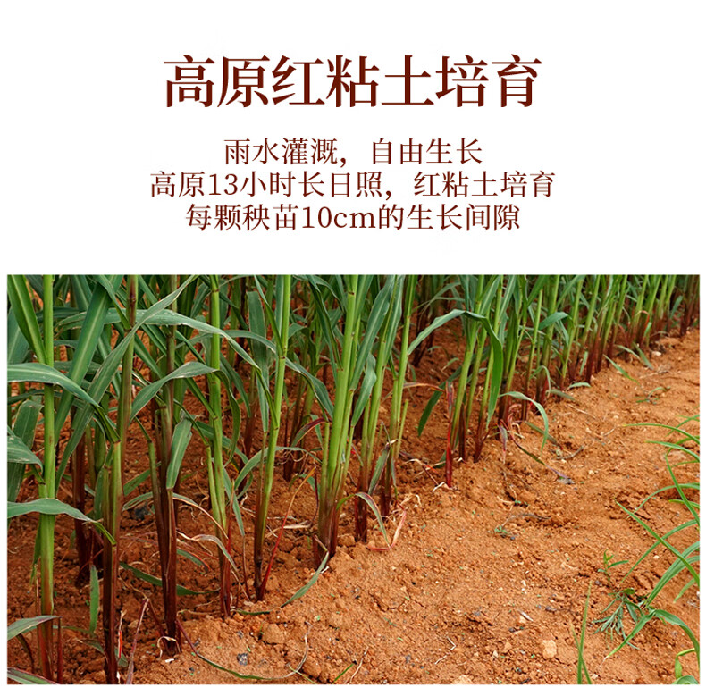 小米锅巴210克_05.jpg