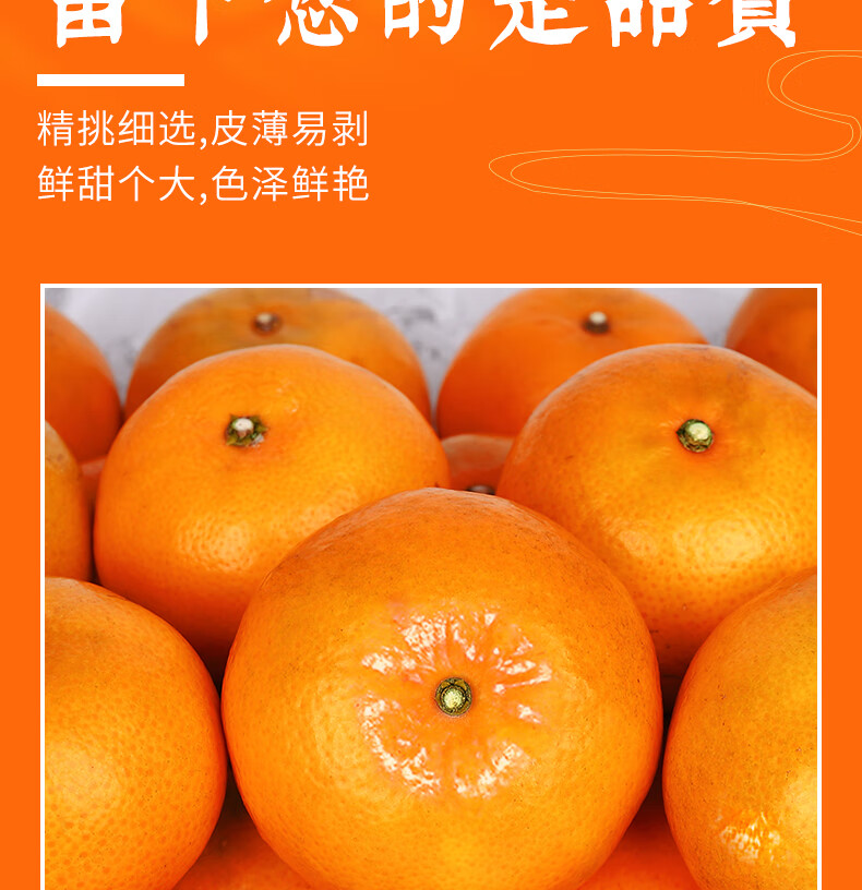 寻味君 广西武鸣沃柑 新鲜水果柑橘子桔子 严选3斤 精美礼盒装【净重