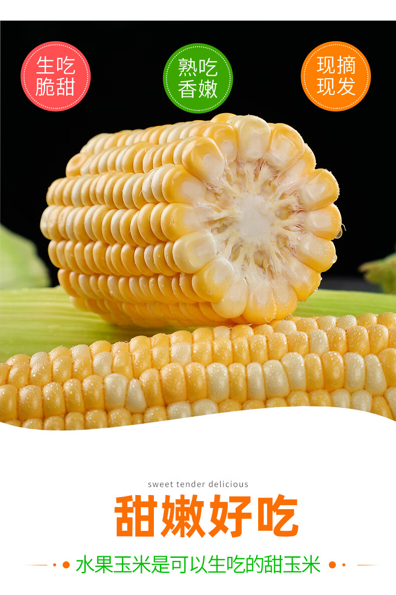 寻味君云南水果玉米甜玉米棒生鲜新鲜蔬菜健康轻食严选5斤