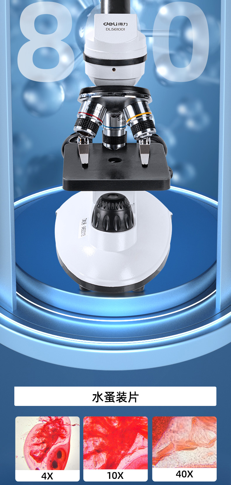 得力 儿童生物显微镜800倍 高清小学生科学实验室放大镜 dl561001-云