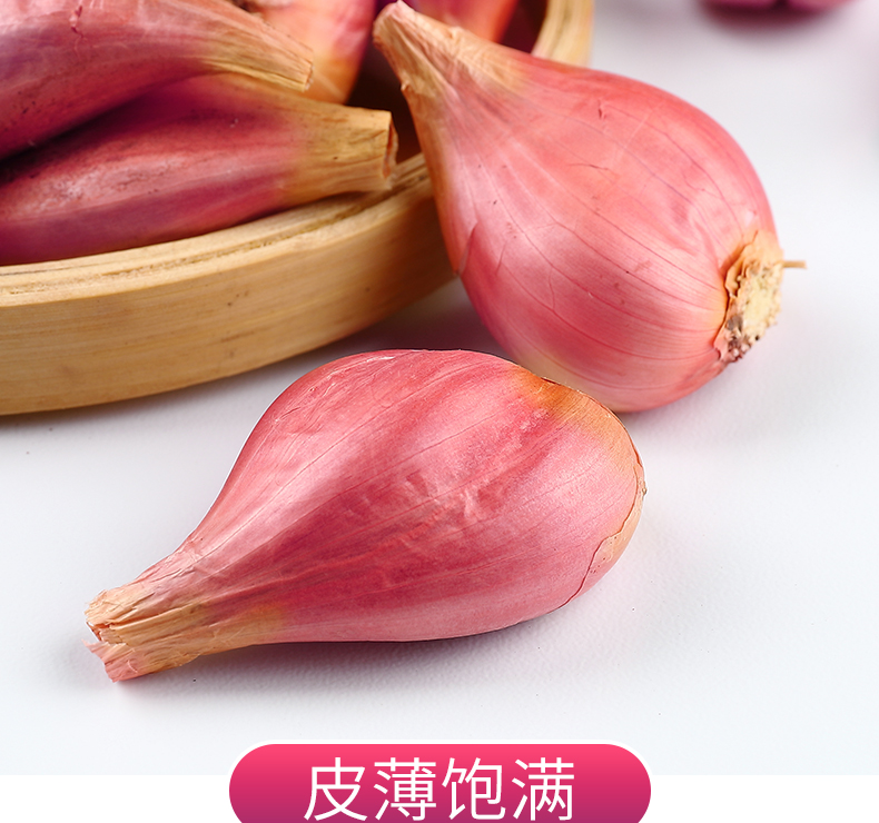 寻味君 广东红葱头 带叶四季种子新鲜农家小香葱 5