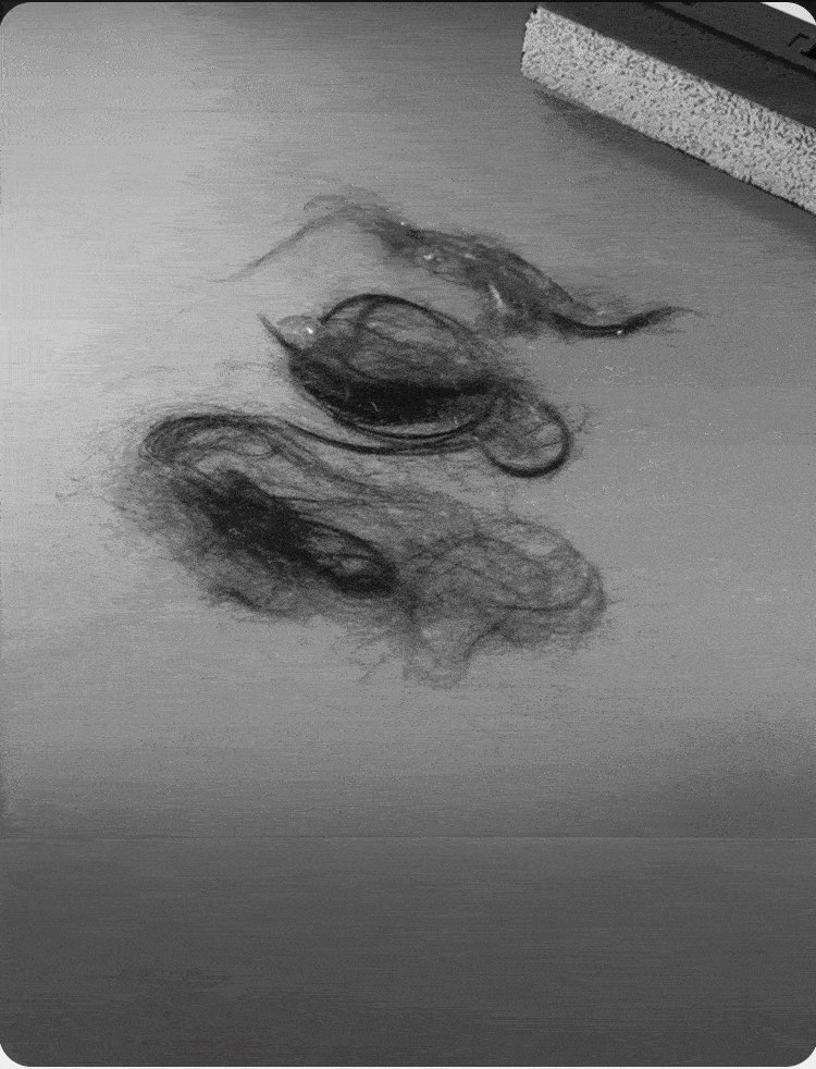 22.gif