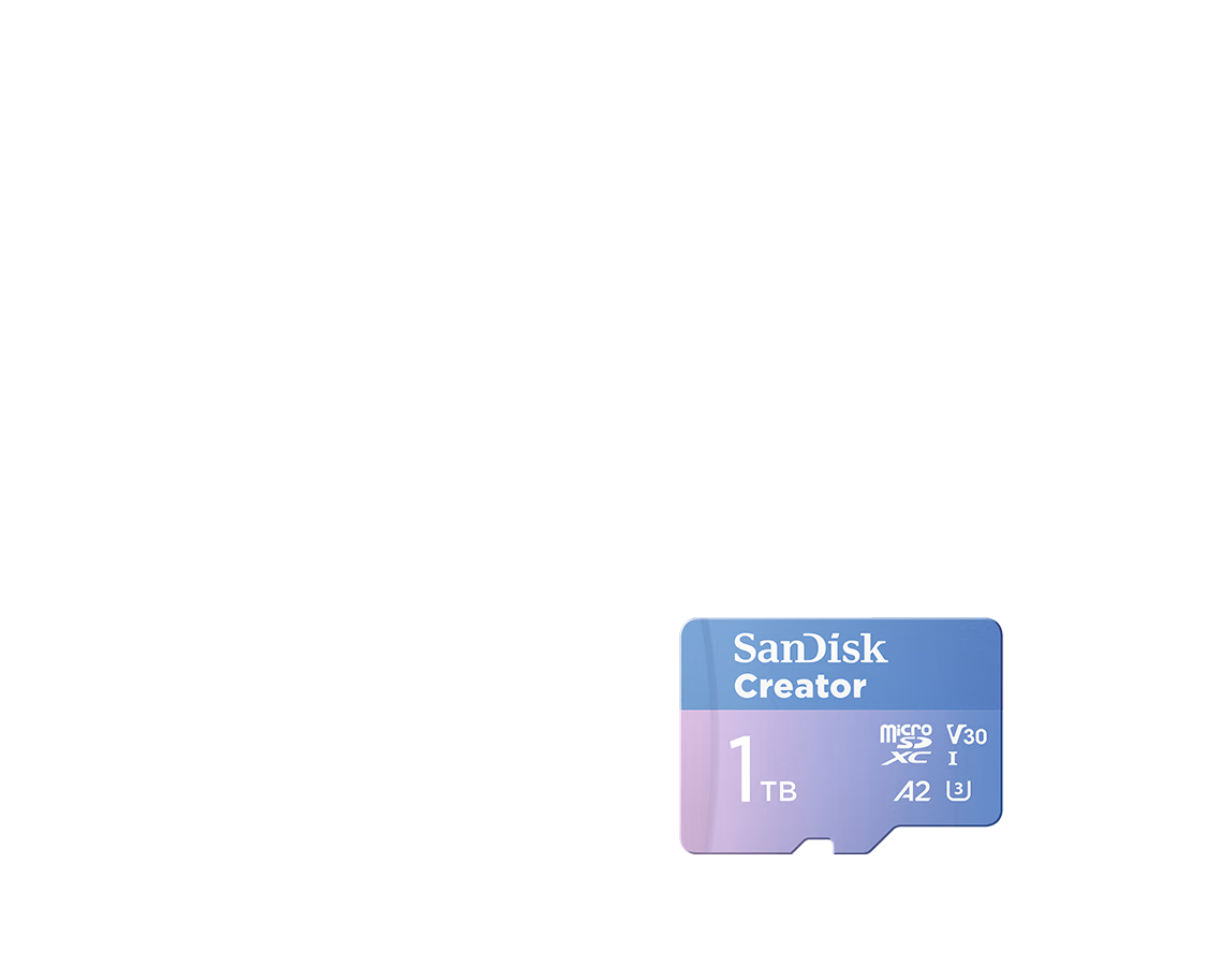 闪迪(SanDisk)官方旗舰店 - 京东