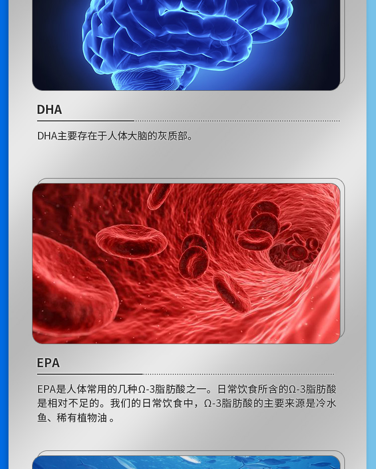南极磷虾_05.jpg