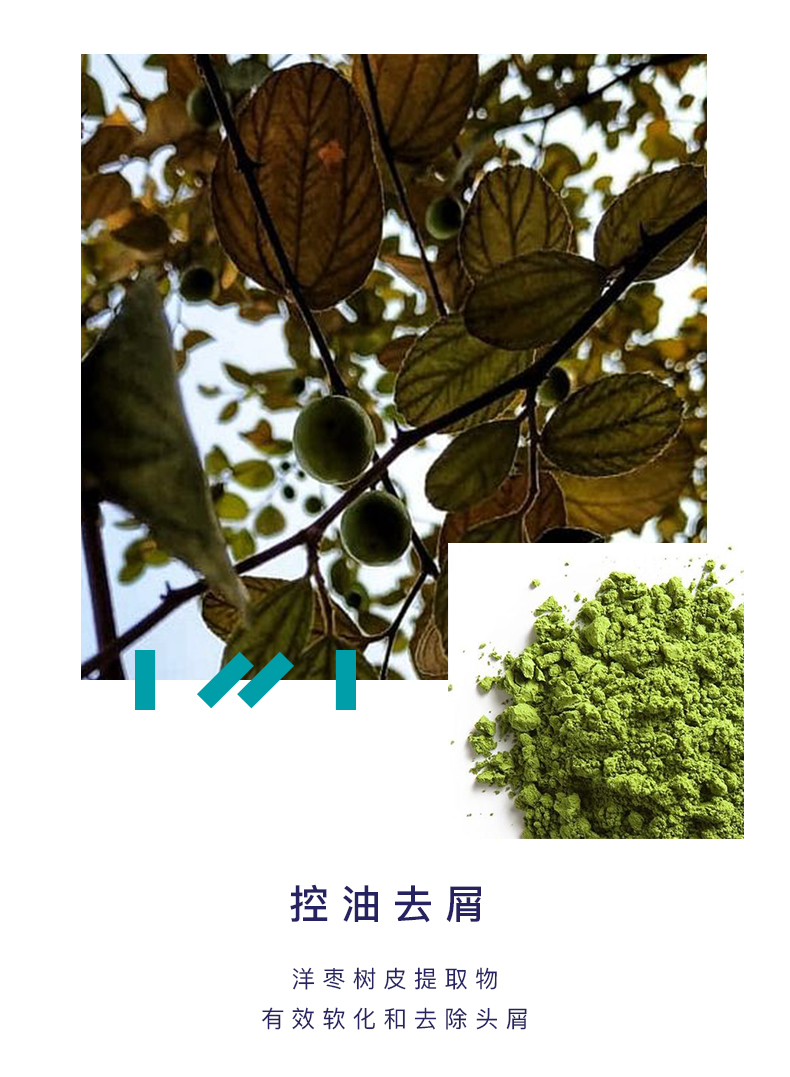 2019-去屑洗护套装-500ml_08.jpg