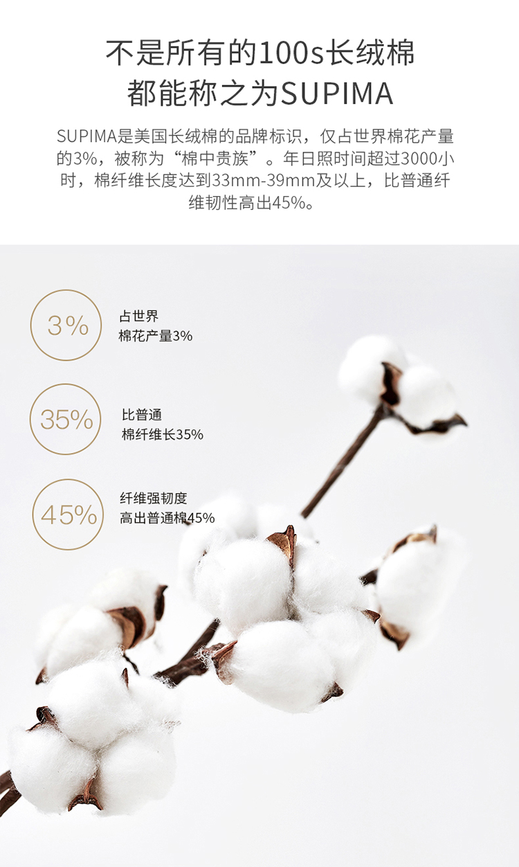 爱丽丝1_04.jpg