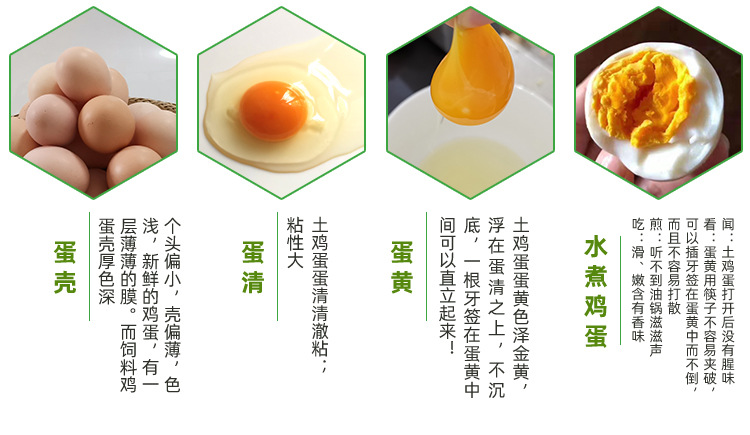 丑禾 农家土鸡蛋 40枚 图5