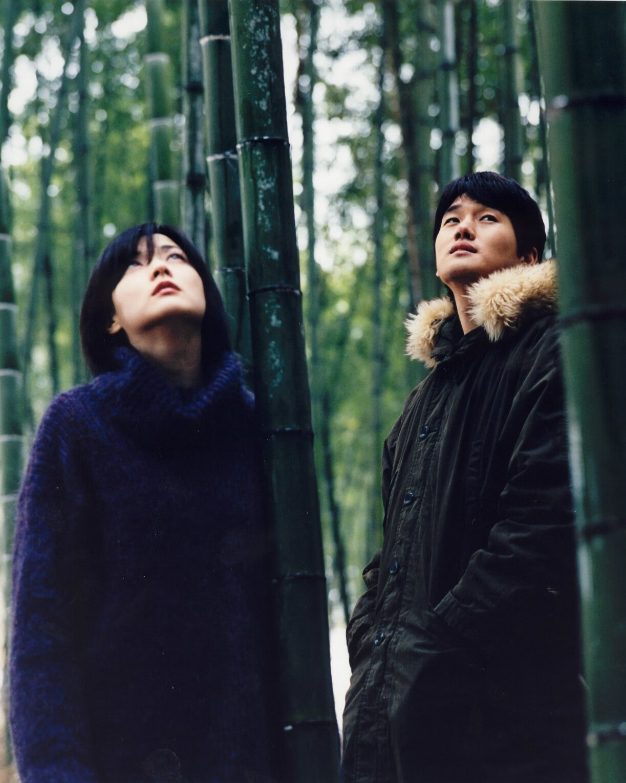 [春逝][2001]⭐[春逝][2001][爱情][韩国]