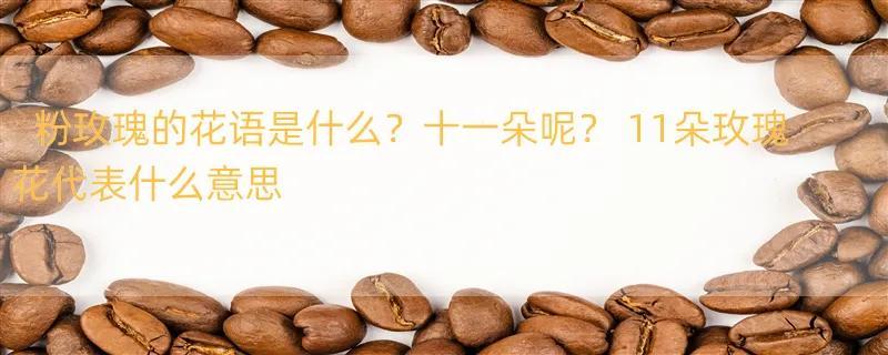 粉玫瑰的花语是什么？十一朵呢？ 11朵玫瑰花代表什么意思