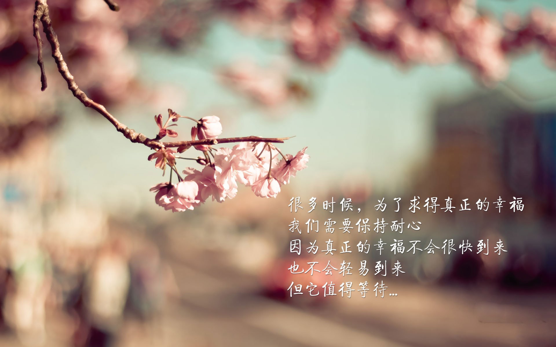 空调不制冷怎么办(空调开着开着就不制冷,怎么回事)