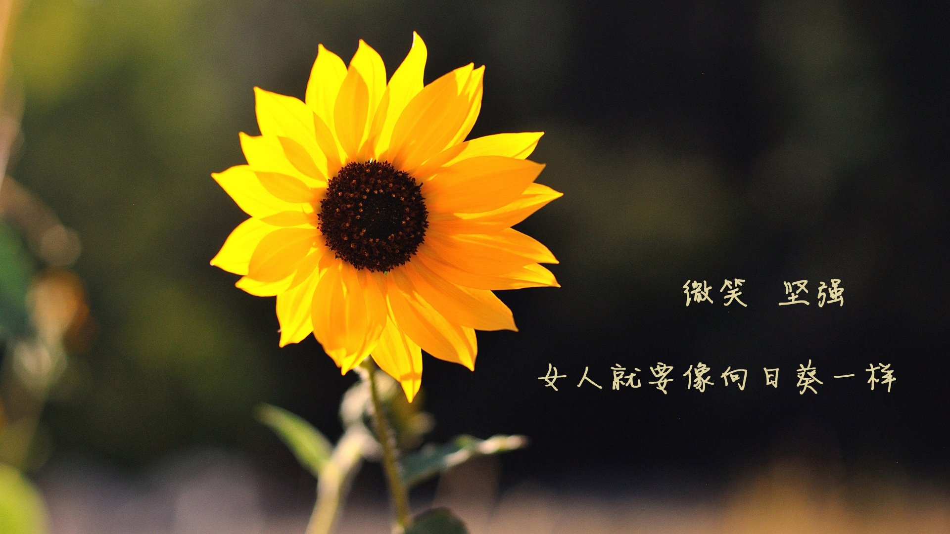 本科、接洽生、学士、硕士、硕士什么联系，及怎样申诉-第3张图片-全国100所名校答案网