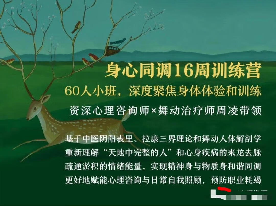 周凌：身心同调16周训练营丨整合中医、舞动与拉康，赋能心理咨询与自我照顾