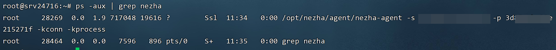 更新：哪吒探针关闭监控连接数和进程数后离线？-等1下™我老公呢-谷姐靓号网