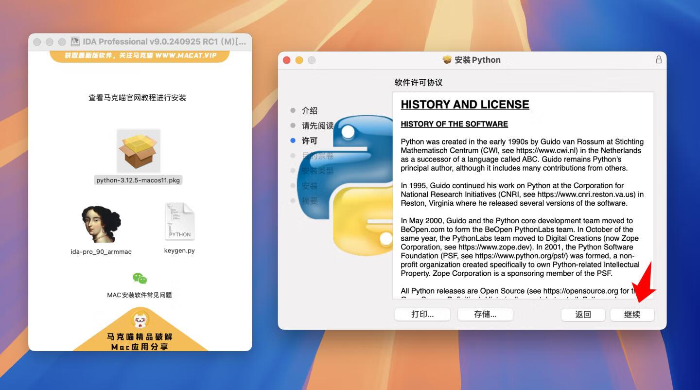 IDA Professional for mac v9.0.240925 RC1英文版 反汇编逆向神器