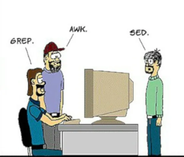 请问大家都会用awk吗？-古藤君-谷姐靓号网