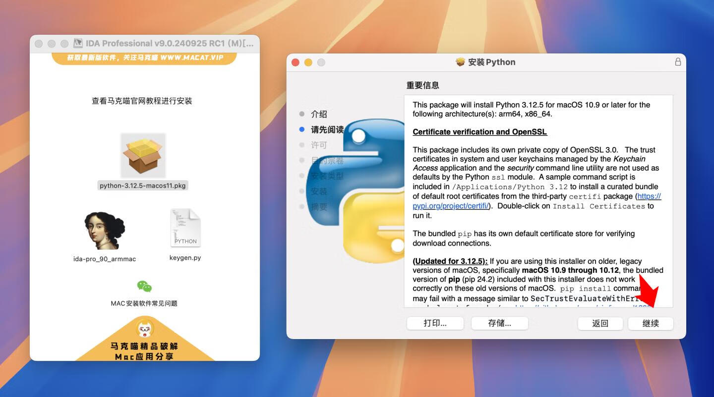 IDA Professional for mac v9.0.240925 RC1英文版 反汇编逆向神器