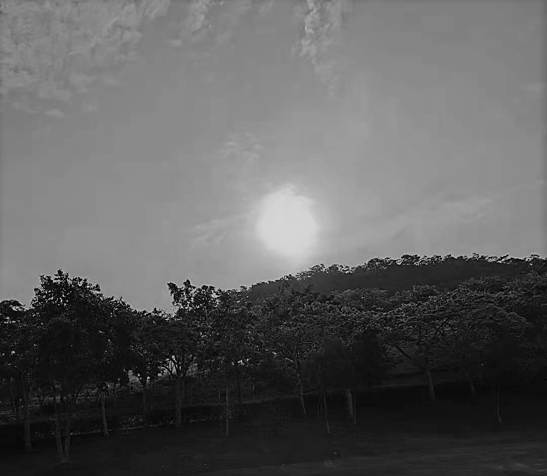 fa79172700b0f95b.jpg