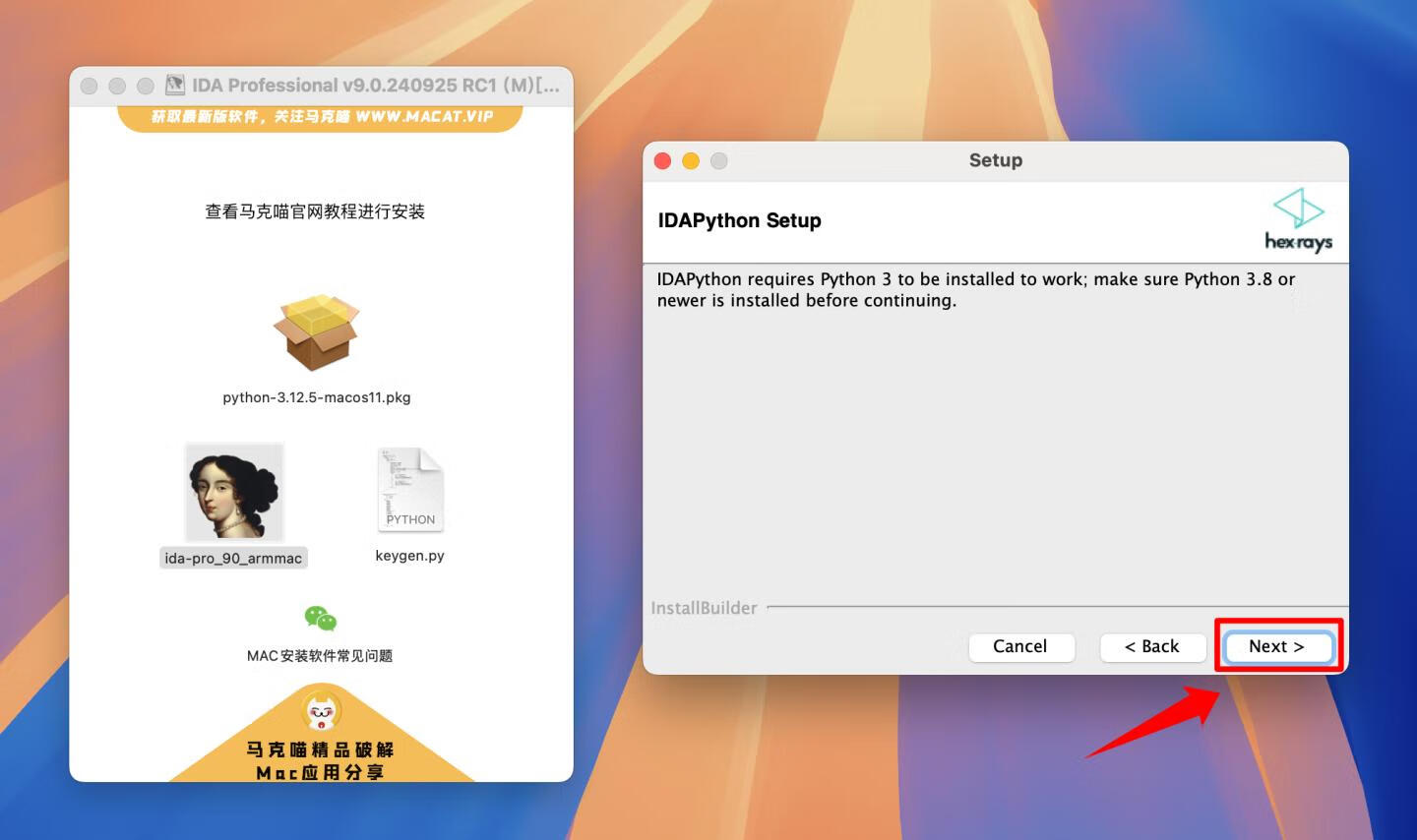 IDA Professional for mac v9.0.240925 RC1英文版 反汇编逆向神器