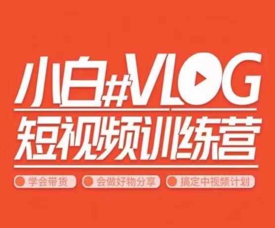 小呆说视－－小白VLOG短视频训练营，学会带货、好物、直播、中视频