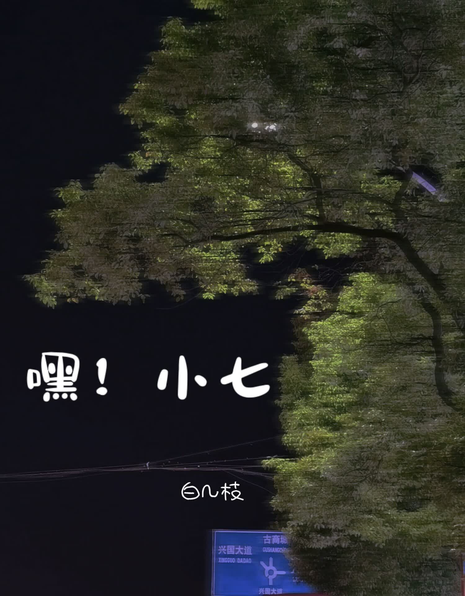 嘿，小七