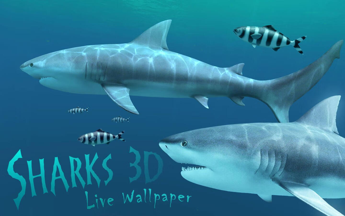 Sharks 3D for Mac v2.1.1 激活版 3D海底鲨鱼动态壁纸