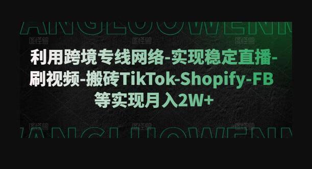 利用跨境专线网络-实现稳定直播-刷视频-搬砖TikTok-Shopify-FB等实现月入2W+-源码网
