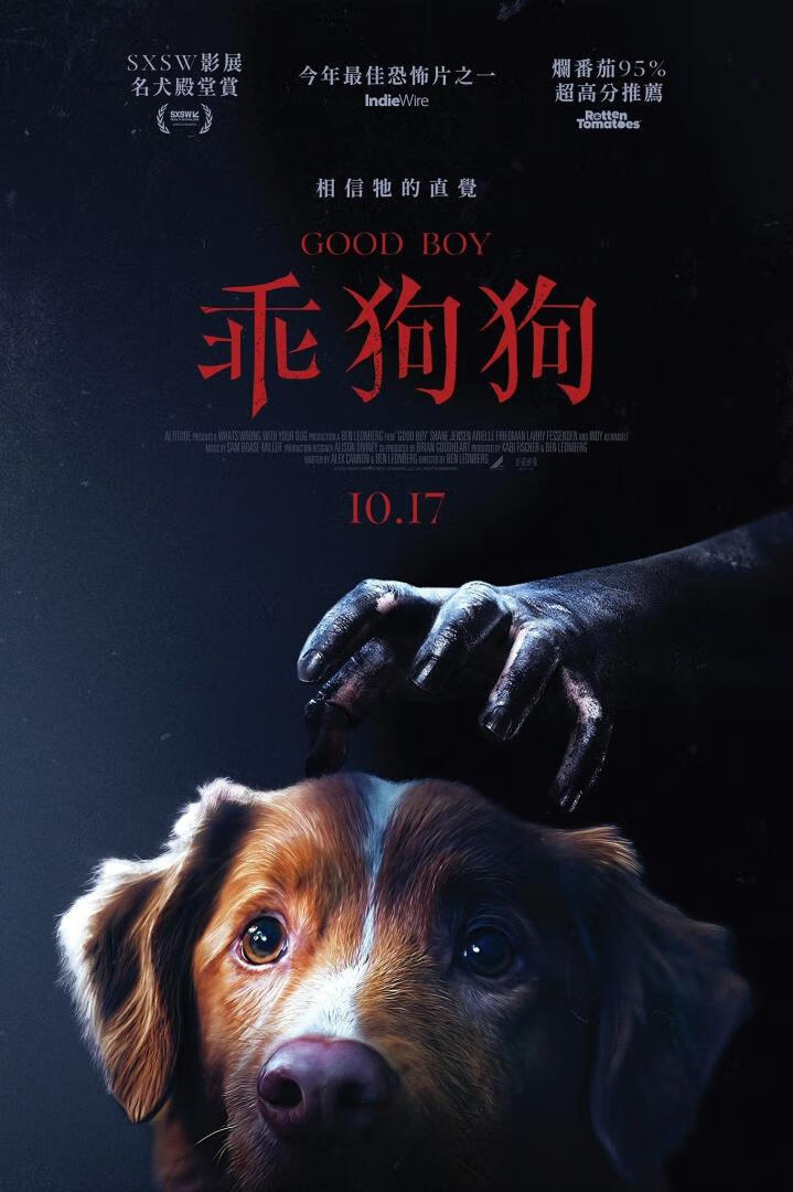 好狗狗（2024）-403ol