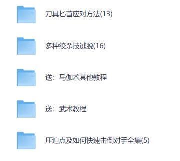 防身术以色列马伽术健身视频教程教学以色列格斗术