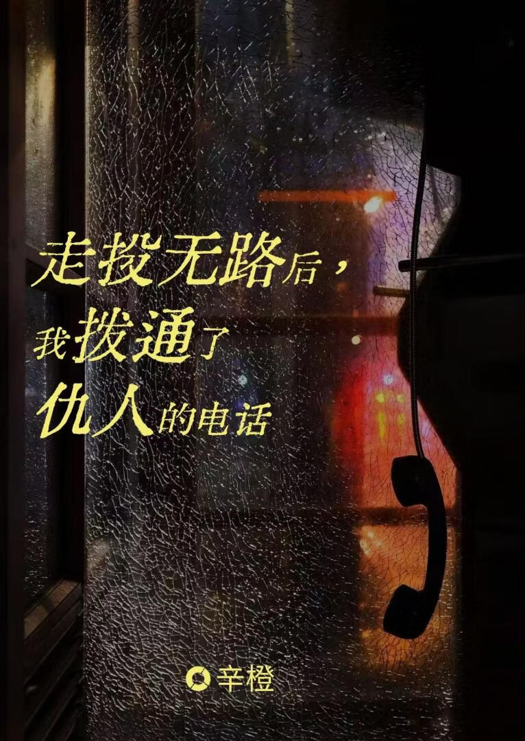 九零之大佬掌心劫