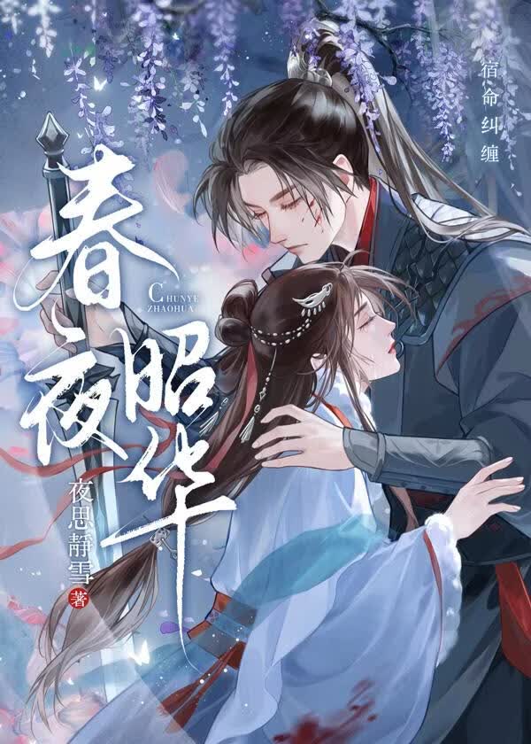 春夜昭华 封面