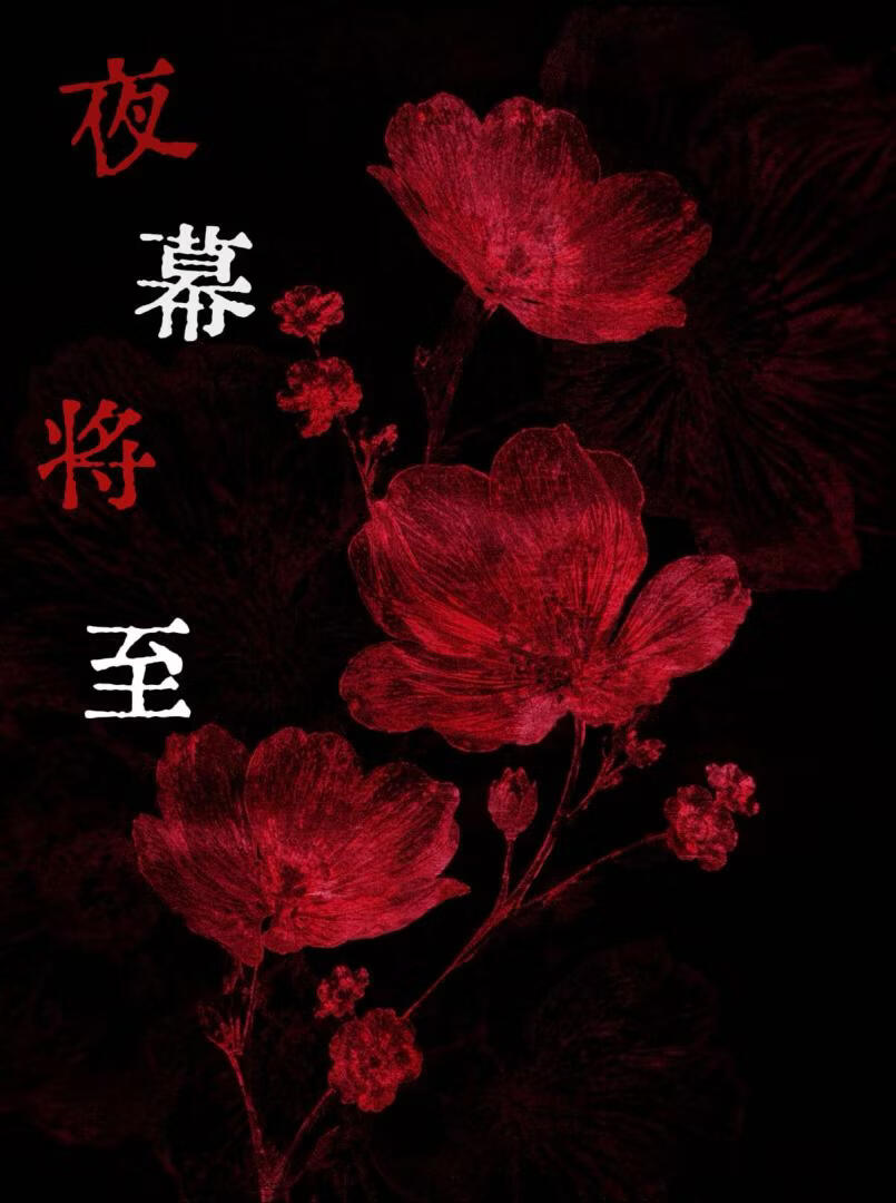 夜幕将至 封面