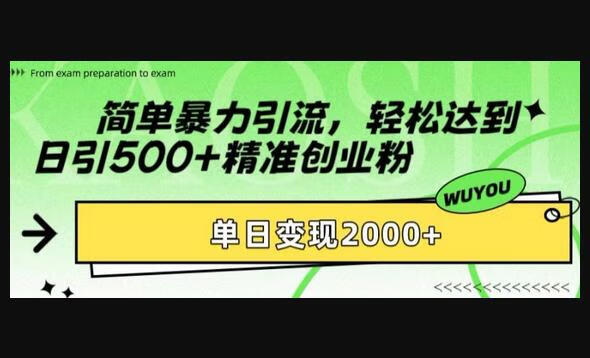 简单暴力引流，轻松达到日引500+精准创业粉，单日变现2k-源码网