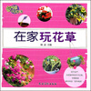

逆生长慢生活：在家玩花草