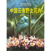 

中国云南野生花卉