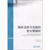 

国际法院与法庭的竞合管辖权