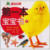 

青苹果基础启蒙：第一本宝宝书2