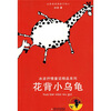 

花背小乌龟