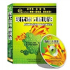 

现代流行新词语（2CD）