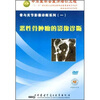

恶性骨肿瘤的影像诊断（DVD）