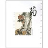 

中国历代绘画经典菊