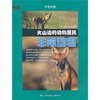 

教科文行动·非常动物：火山边的动物居民
