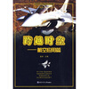 

跨越时空：航空应用篇