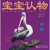 

宝宝认物：动物