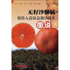 

无籽沙糖橘低投入高效益栽培技术图说