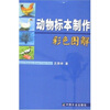 

动物标本制作彩色图解
