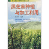 

黑芝麻种植与加工利用