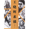 

王晓辉素描